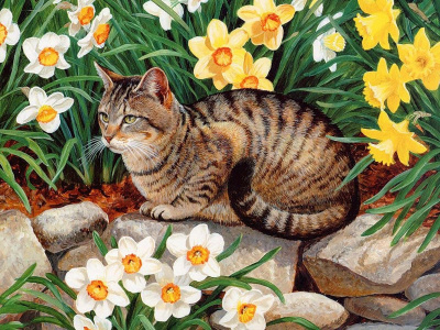 Струкова Марина - Куфин