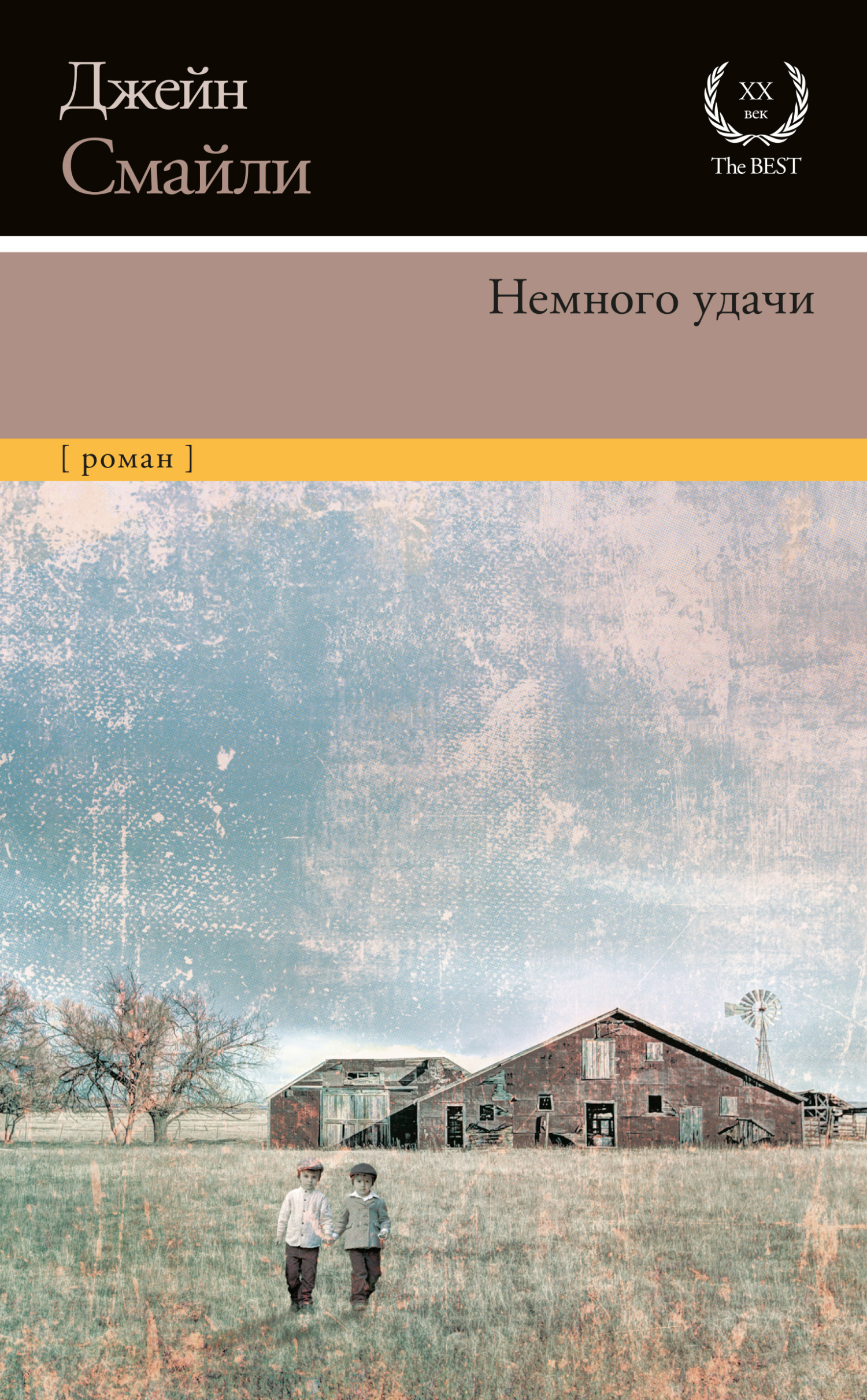 Немного удачи - Джейн Смайли