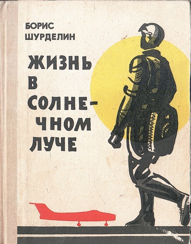 Жизнь в солнечном луче - Борис Фомич Шурделин