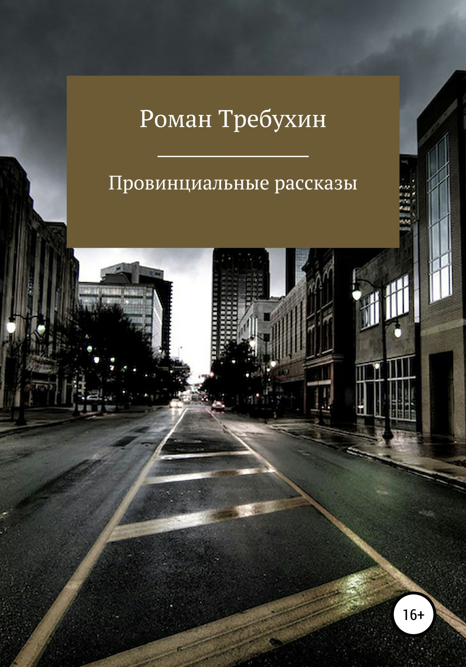 Провинциальные рассказы - Роман Константинович Требухин