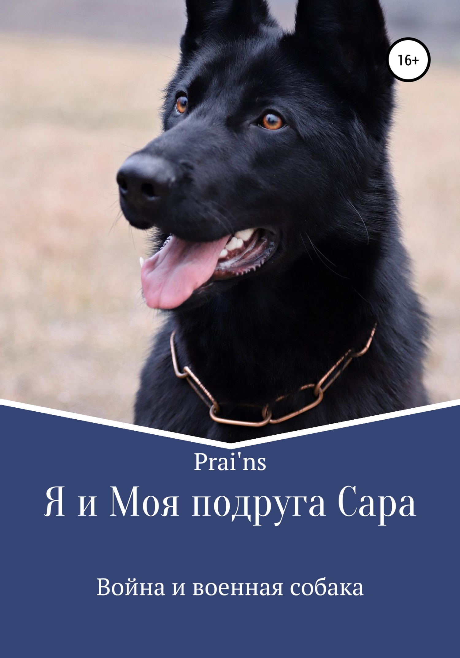 Я и Моя подруга Сара - Prai&#039;ns