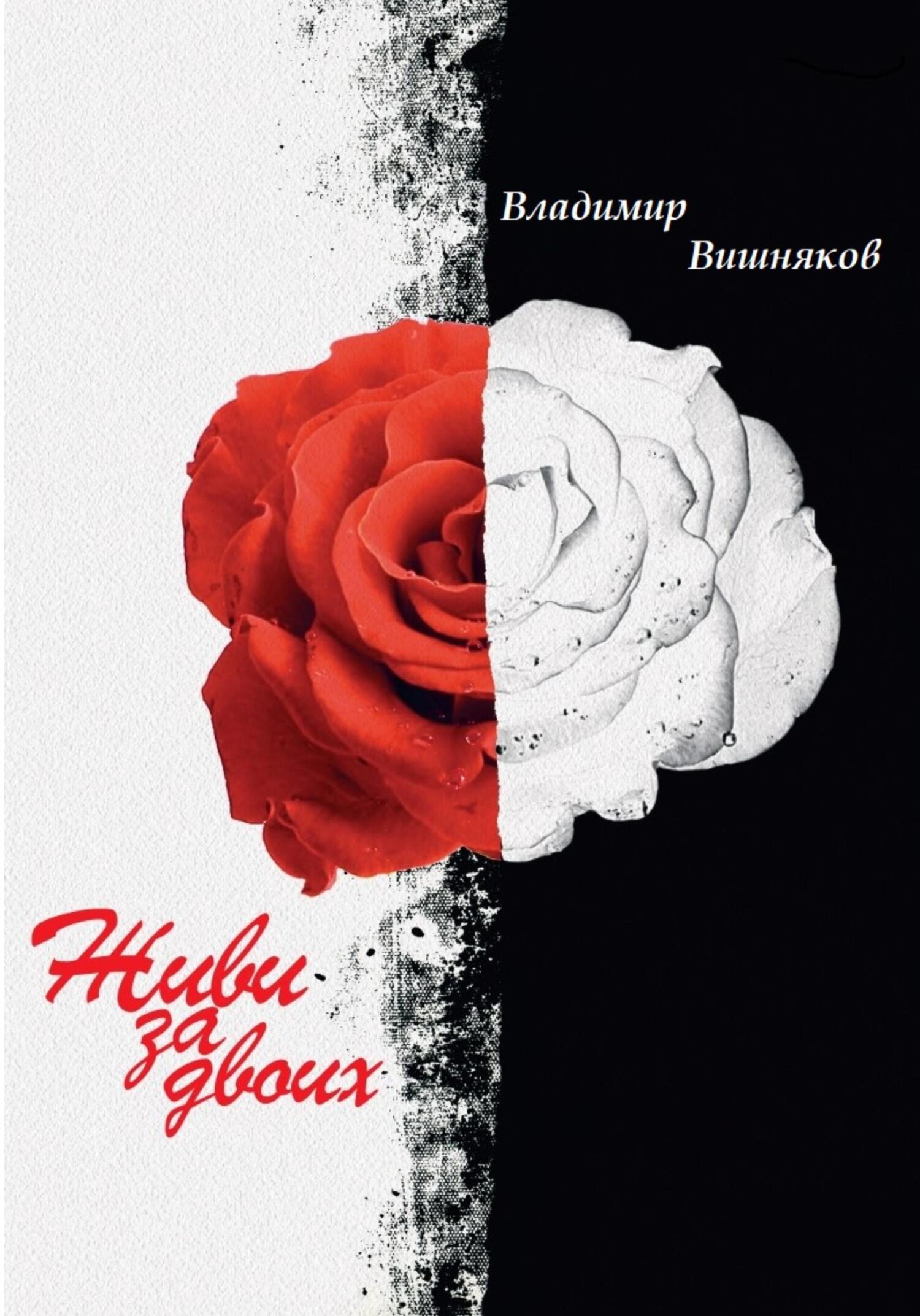 Живи за двоих - Владимир Вишняков
