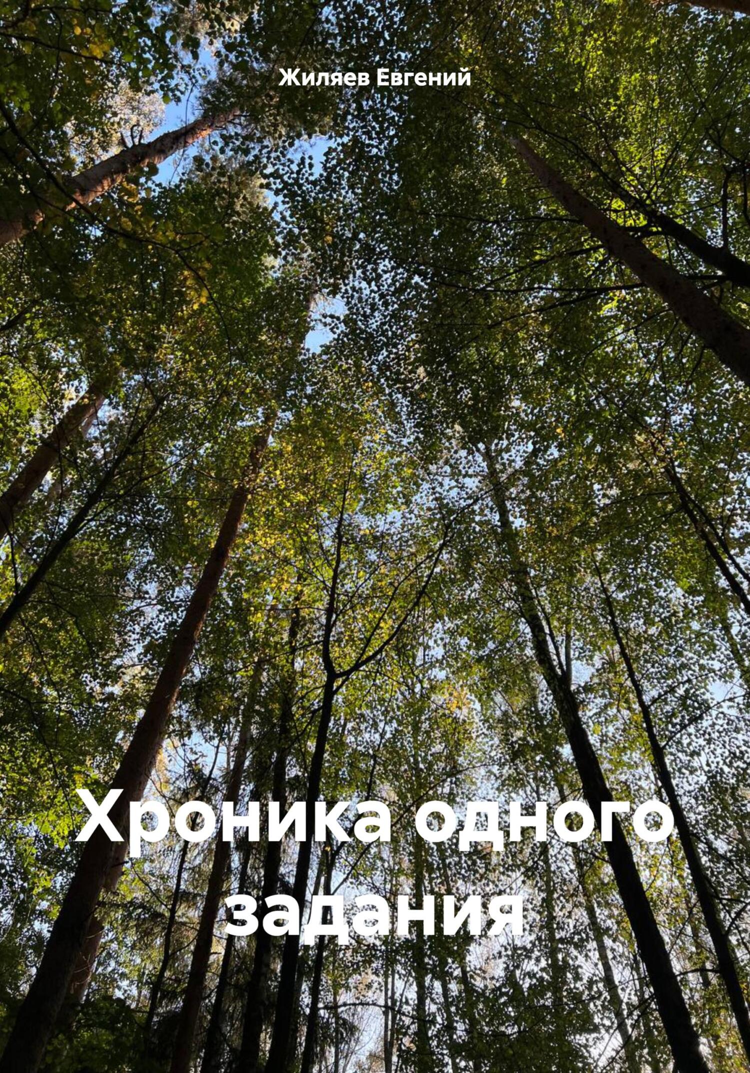 Хроника одного задания - Евгений Александрович Жиляев