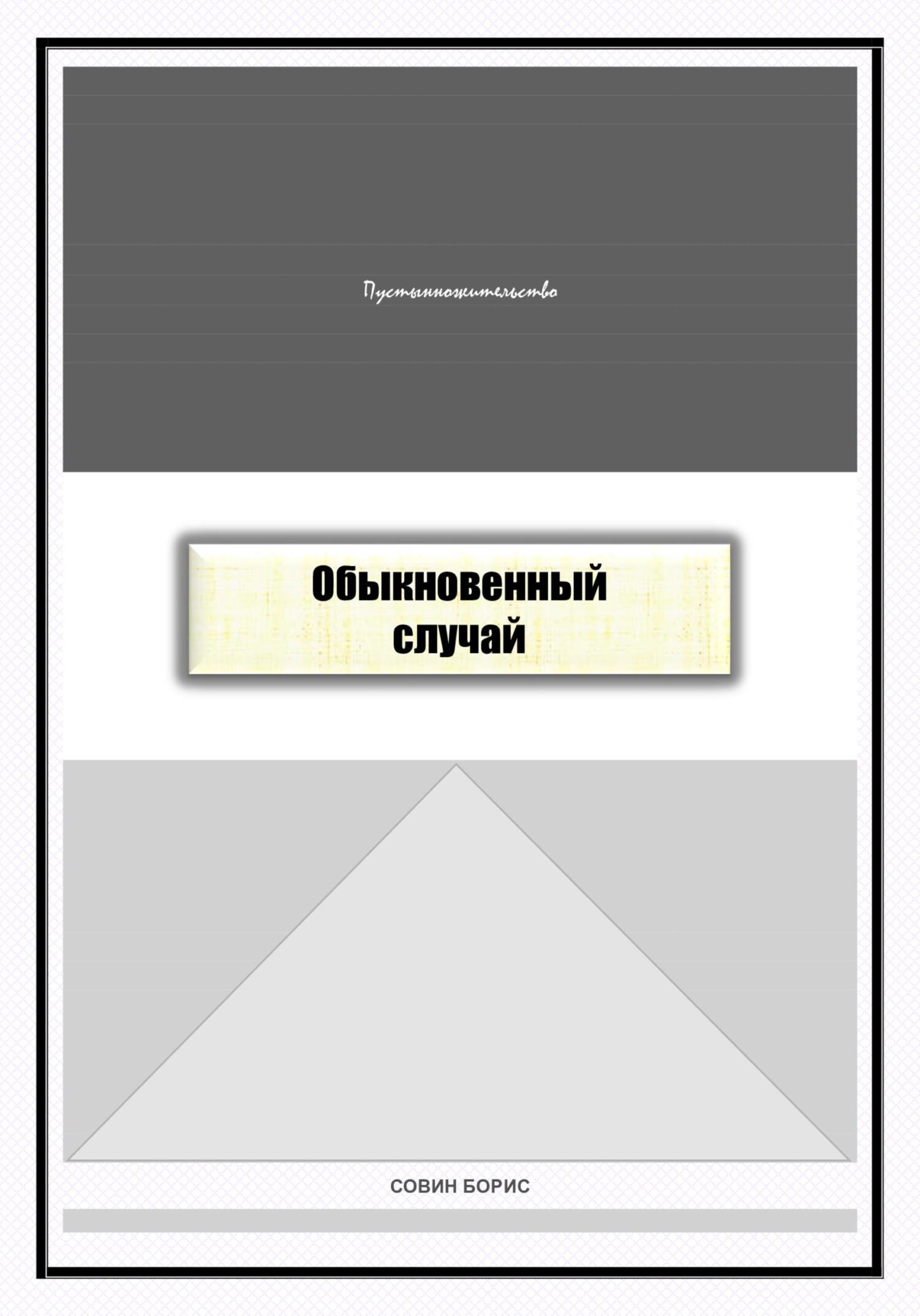 Обыкновенный случай - Борис Совин