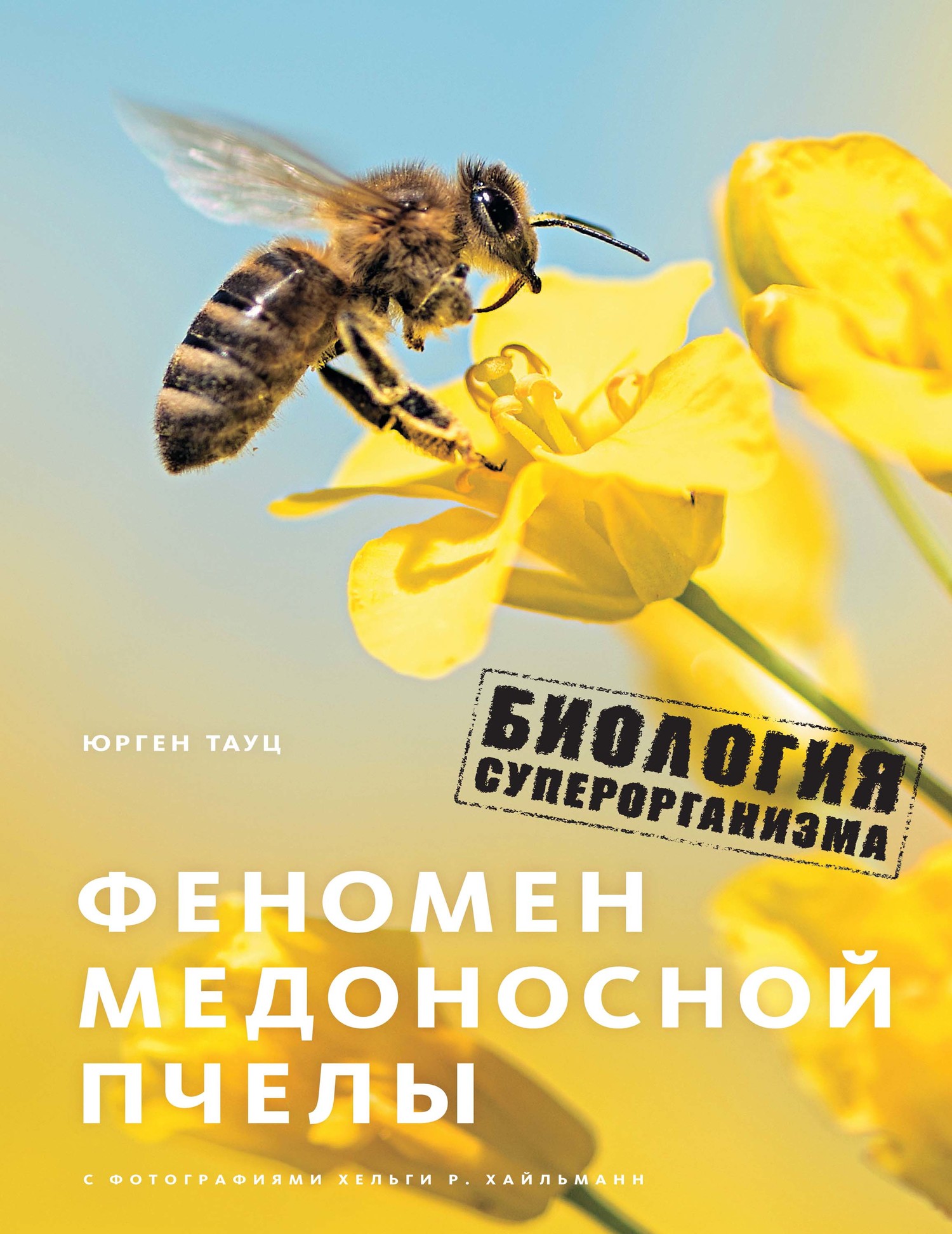 Феномен медоносной пчелы. Биология суперорганизма - Юрген Тауц