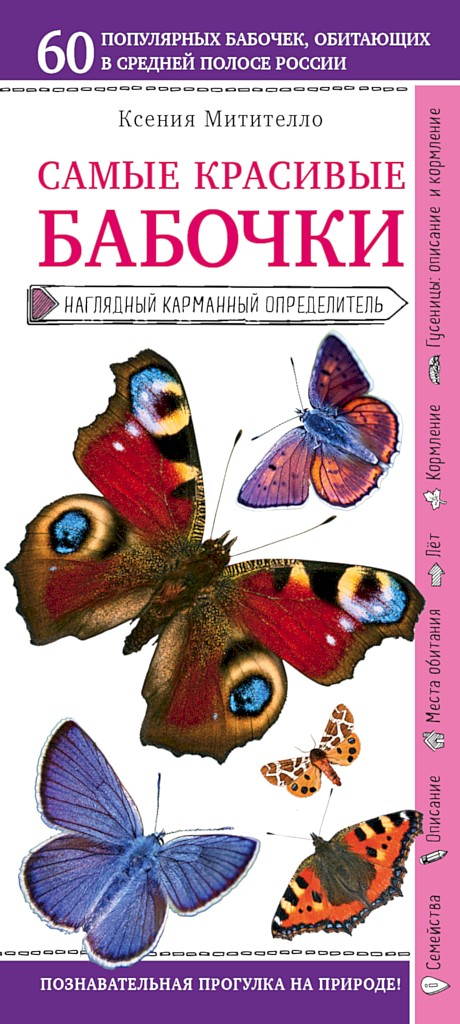Самые красивые бабочки. Наглядный карманный определитель - Ксения Борисовна Митителло