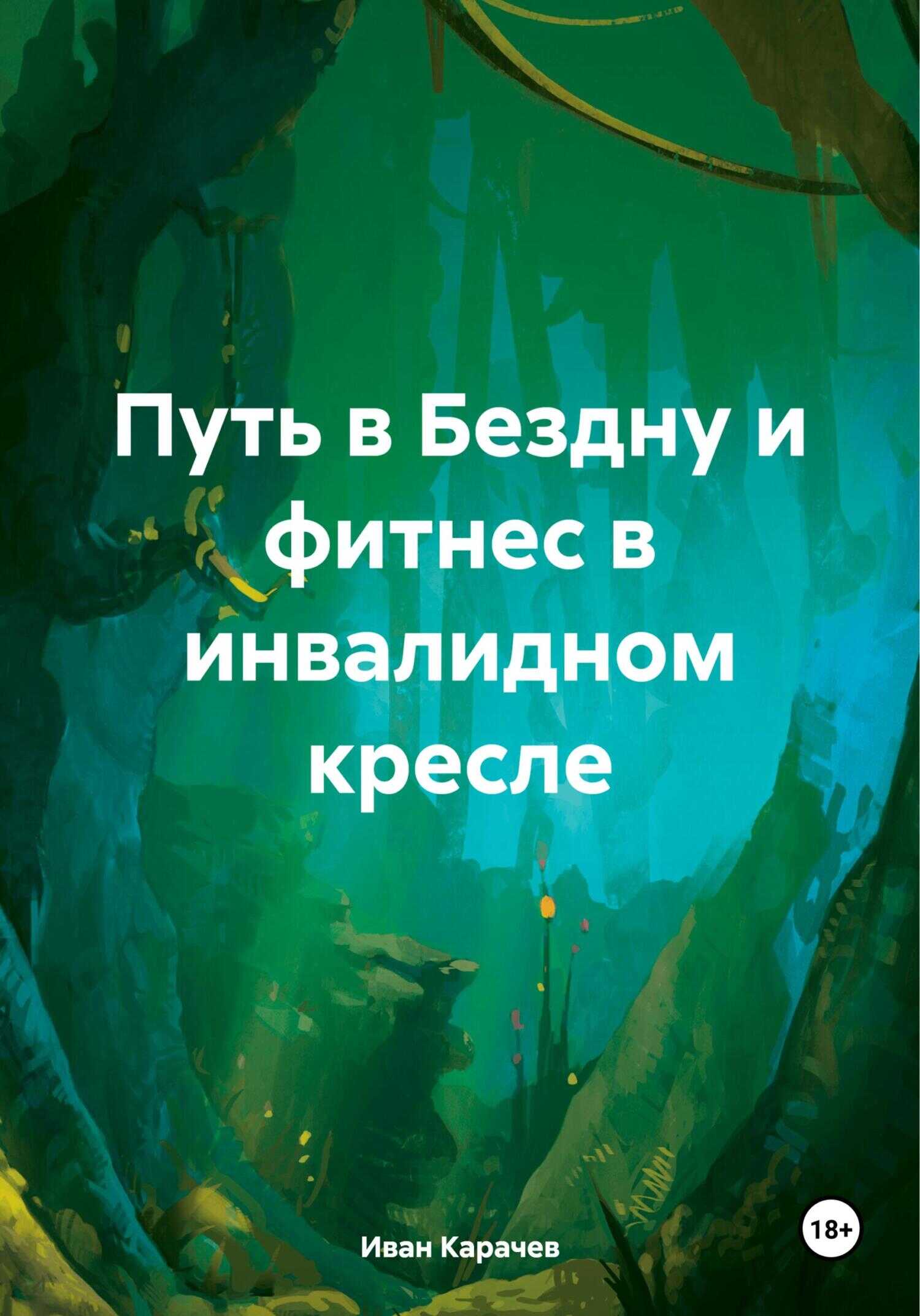 Путь в Бездну и фитнес в инвалидном кресле - Иван Петрович Карачев