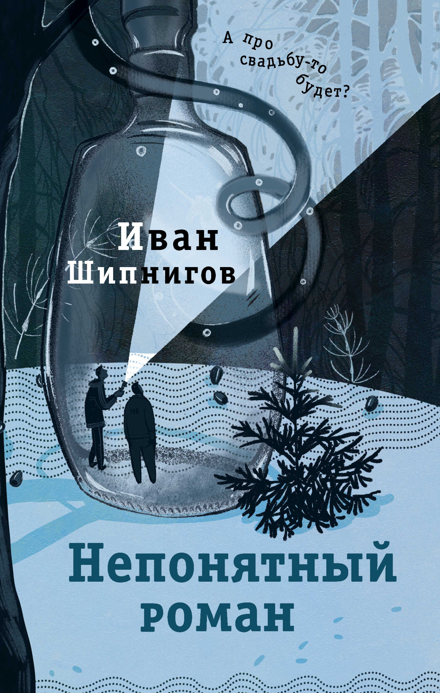 Непонятный роман - Иван Валерьевич Шипнигов