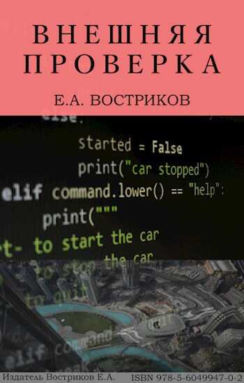Внешняя проверка - Евгений Александрович Востриков