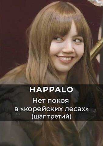 Нет покоя в &quot;корейских лесах&quot;. (Шаг третий) - Happalo