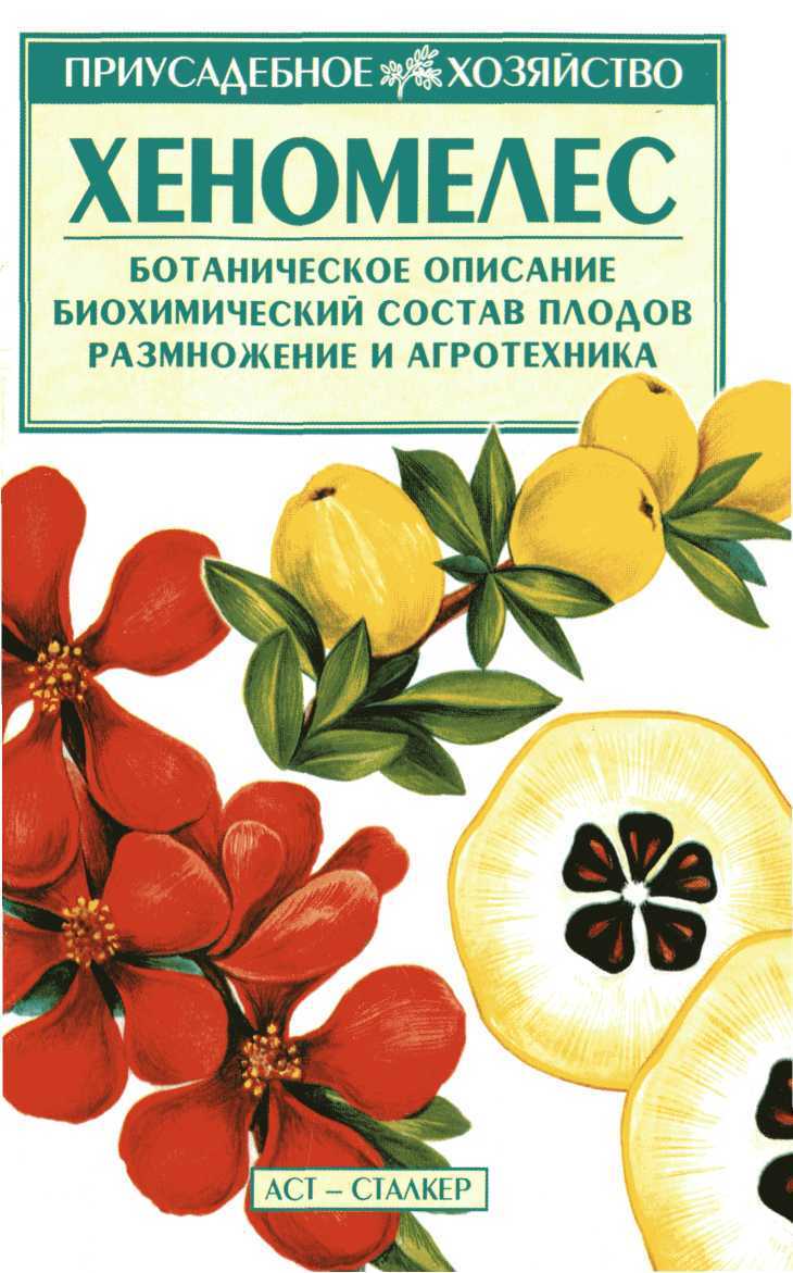 Хеномелес - Владимир Николаевич Меженский