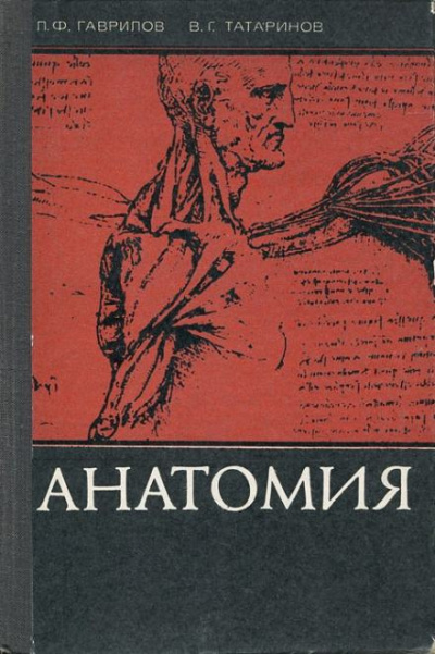Гаврилов Леопольд, Татаринов Василий - Анатомия