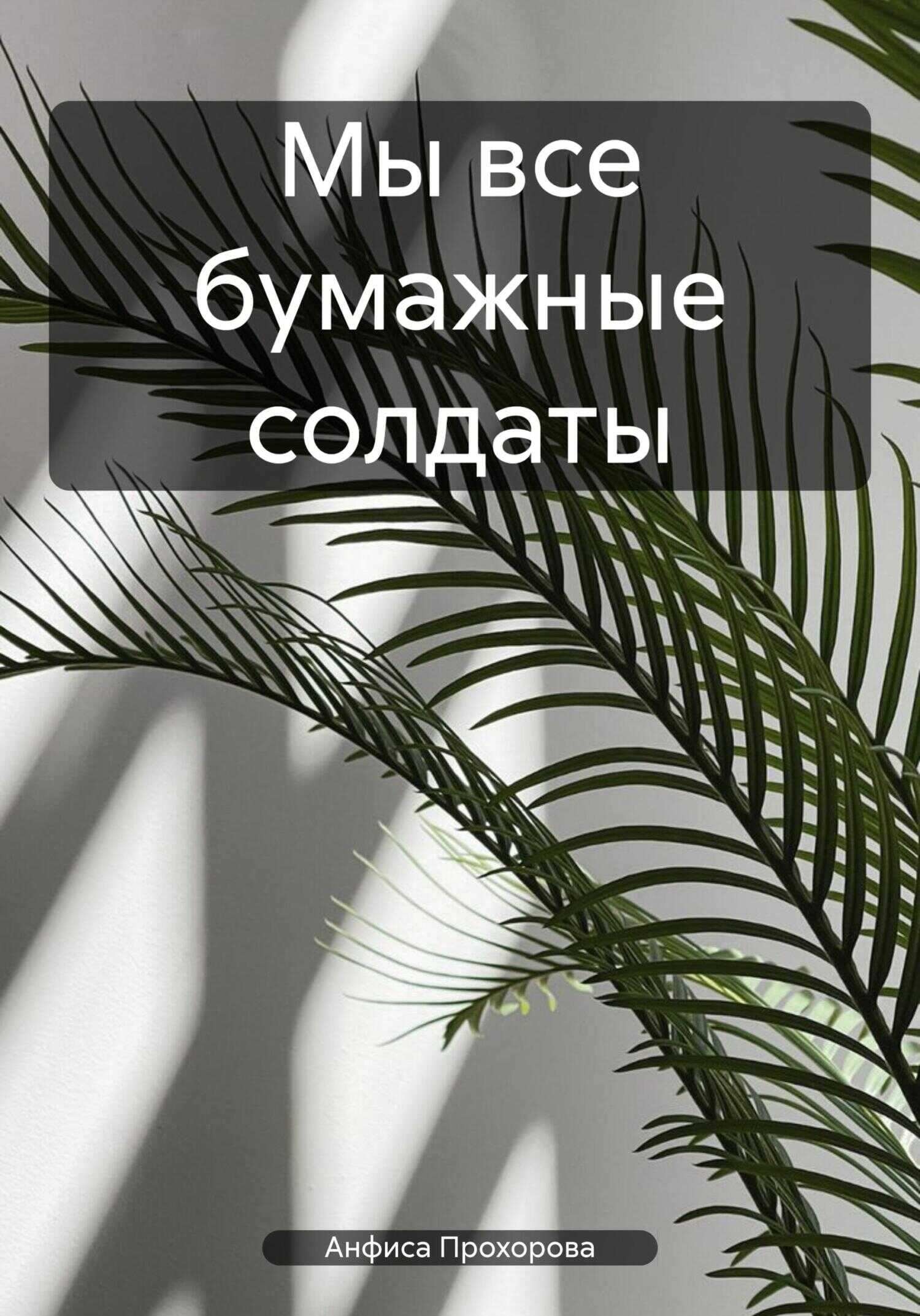 Мы все бумажные солдаты - Анфиса Прохорова