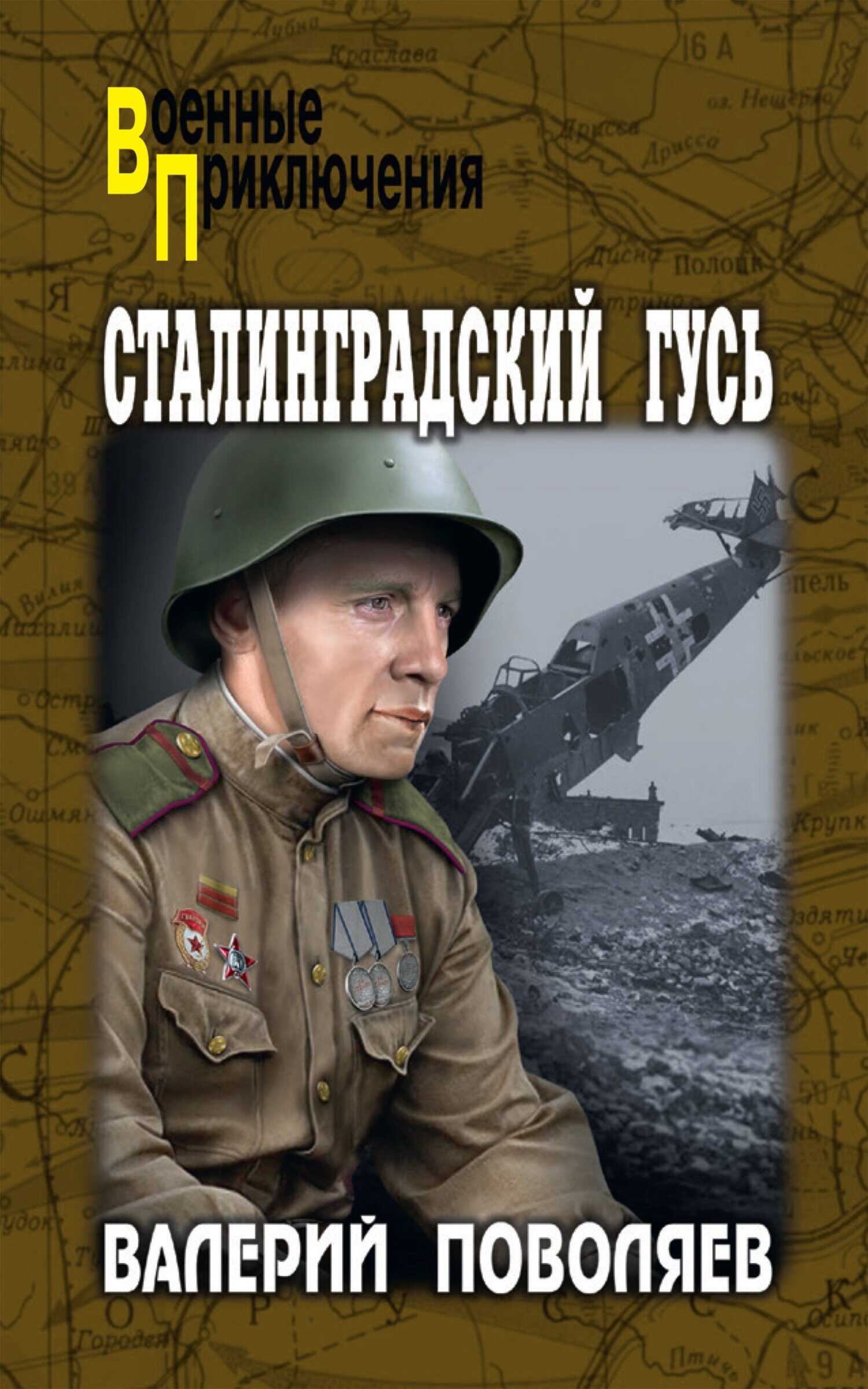 Сталинградский гусь - Валерий Дмитриевич Поволяев