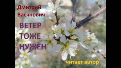Васянович Дмитрий - Ветер тоже нужен
