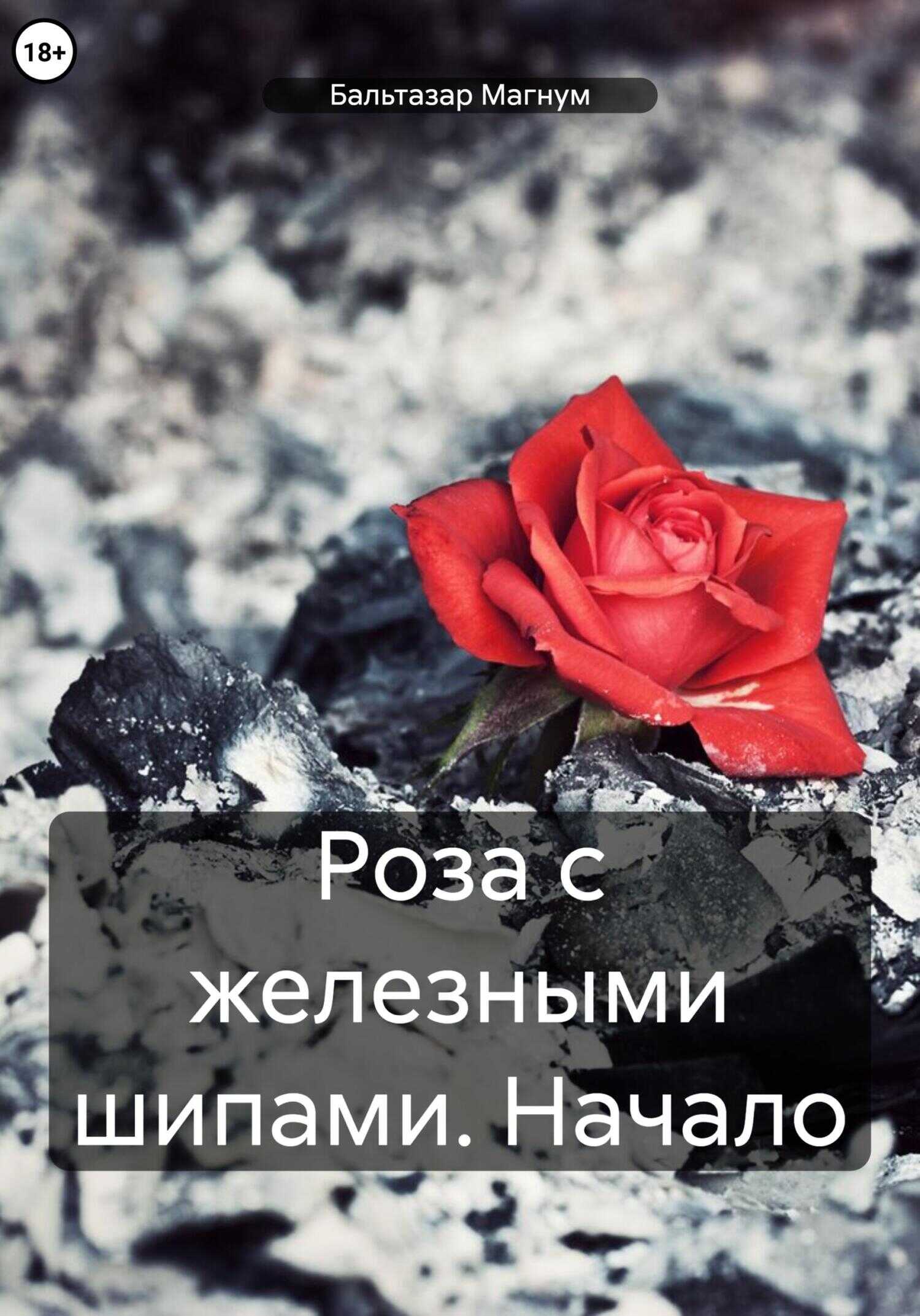 Роза с железными шипами: Начало - Бальтазар Магнум