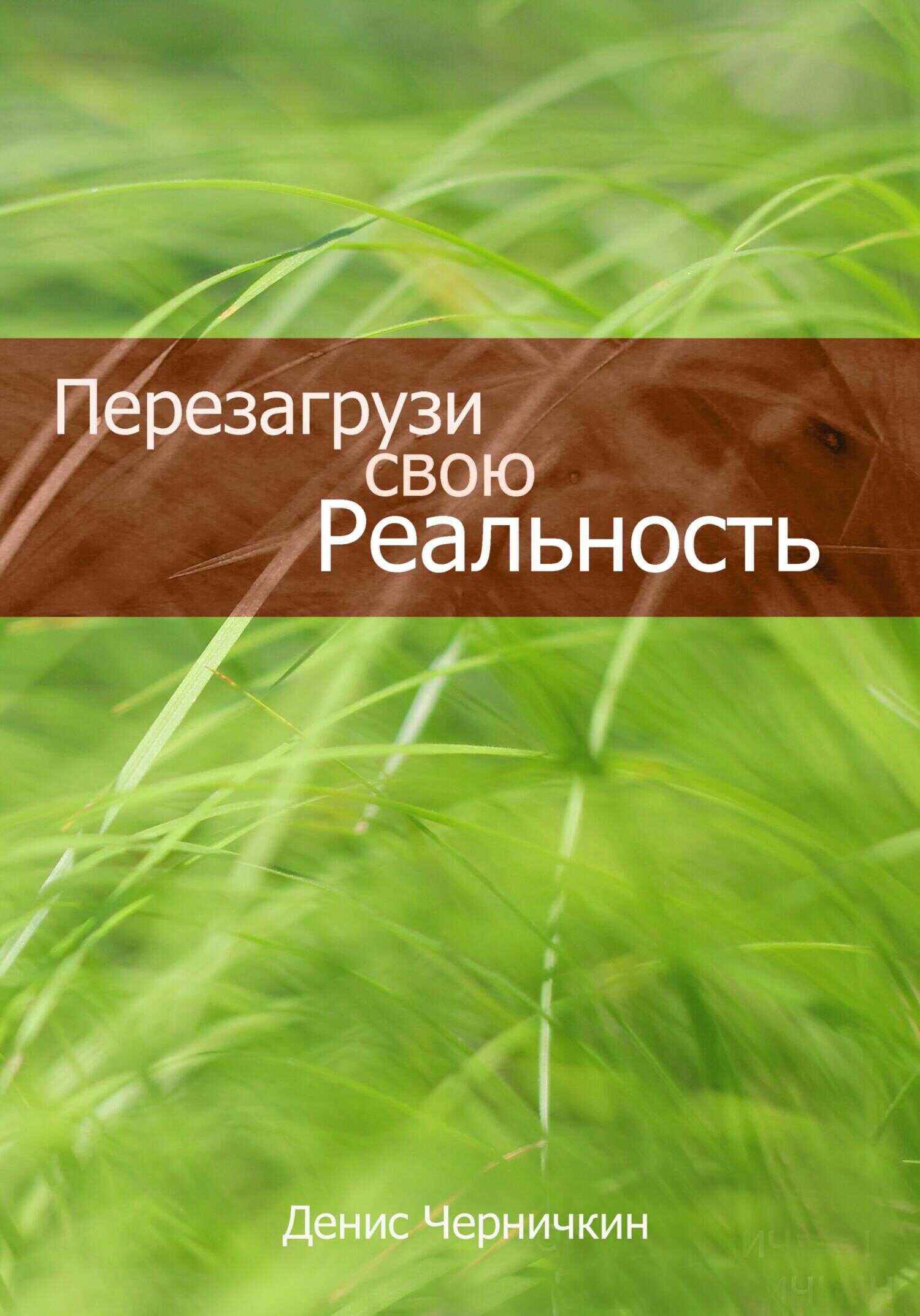 Перезагрузи свою реальность - Денис Черничкин