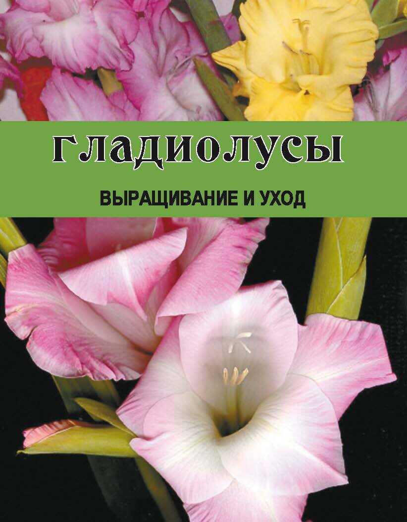 Гладиолусы. Выращивание и уход - Дарья Викторовна Резько
