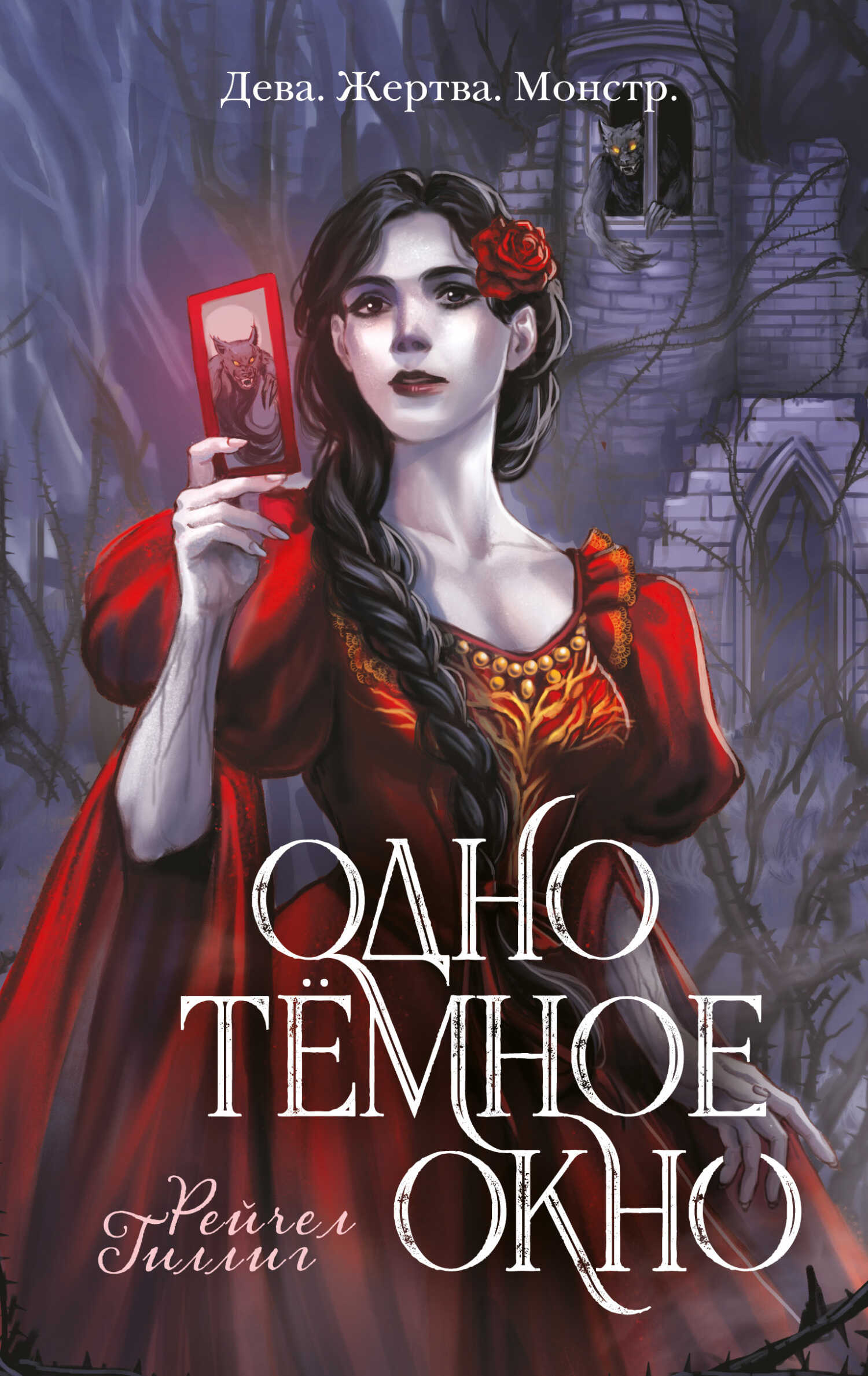 Одно темное окно - Рейчел Гиллиг