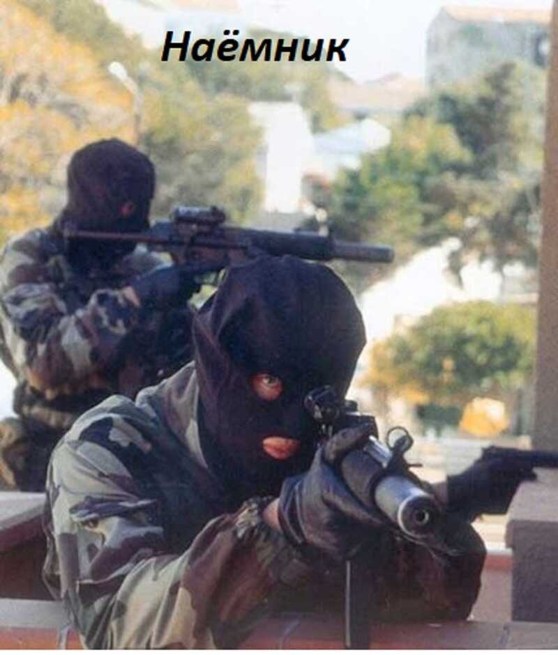 Наёмник - Д. Н. Васильченко
