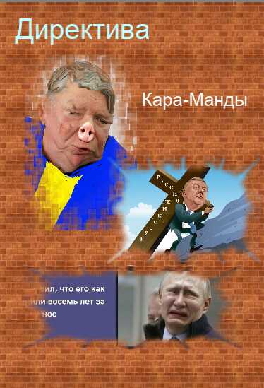 Директива кара-манды - Виктор Васильевич Вецкий