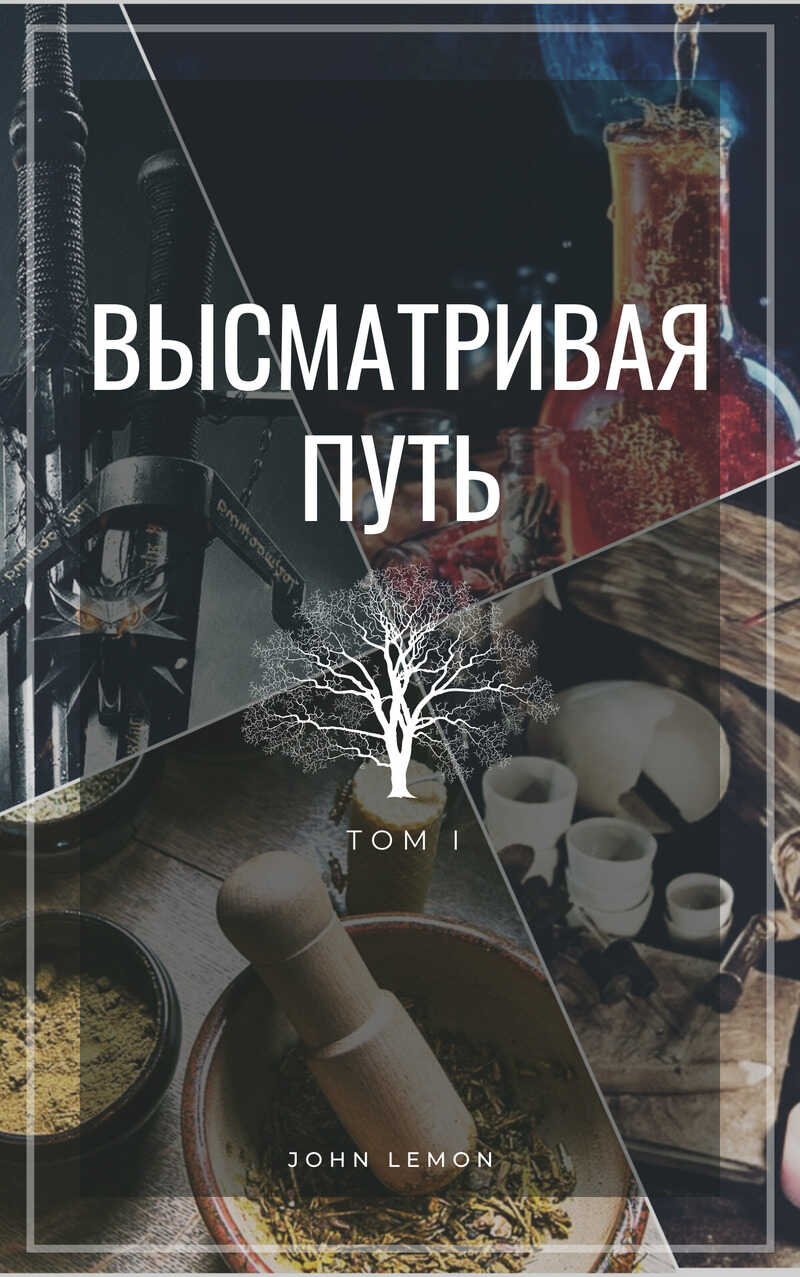 Высматривая путь. Том I - John Lemon
