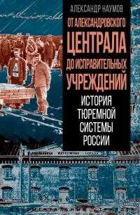 От Александровского централа до исправительных учреждений. История тюремной системы России - Александр Викторович Наумов