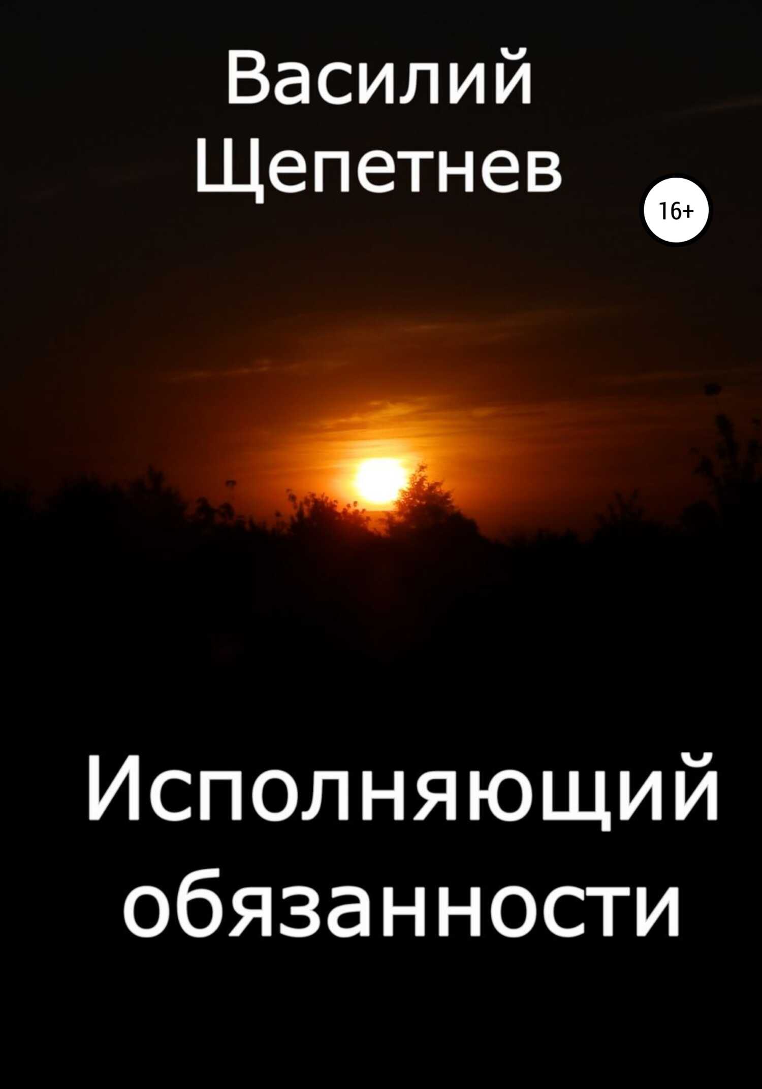 Исполняющий обязанности - Василий Павлович Щепетнёв
