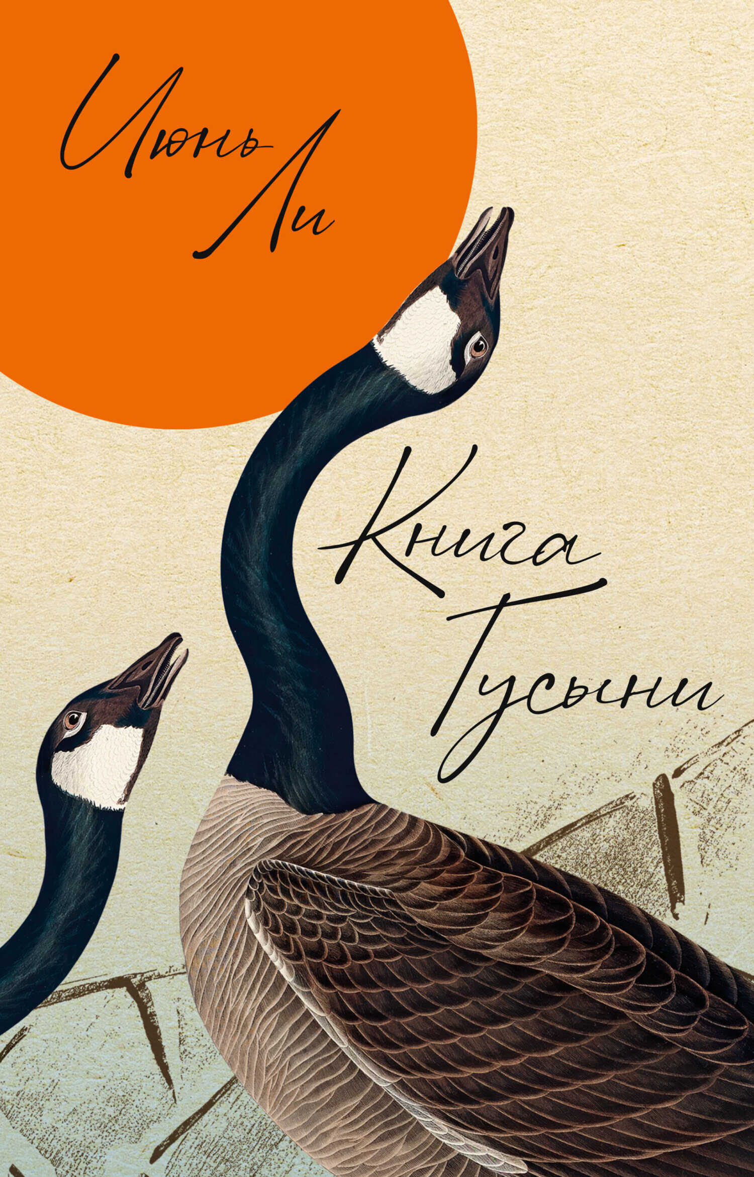 Книга Гусыни - Июнь Ли