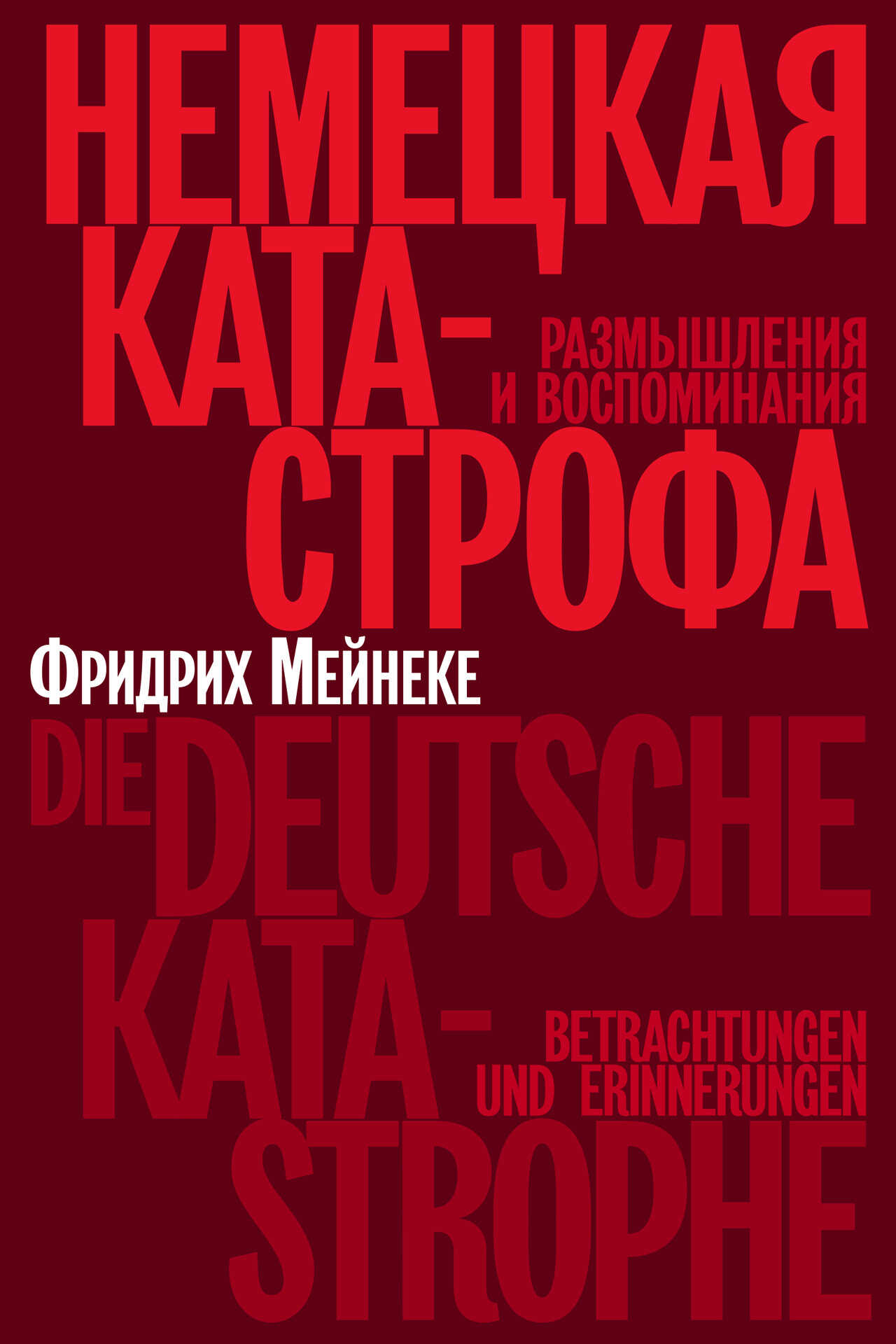 Немецкая катастрофа. Размышления и воспоминания - Фридрих Мейнеке