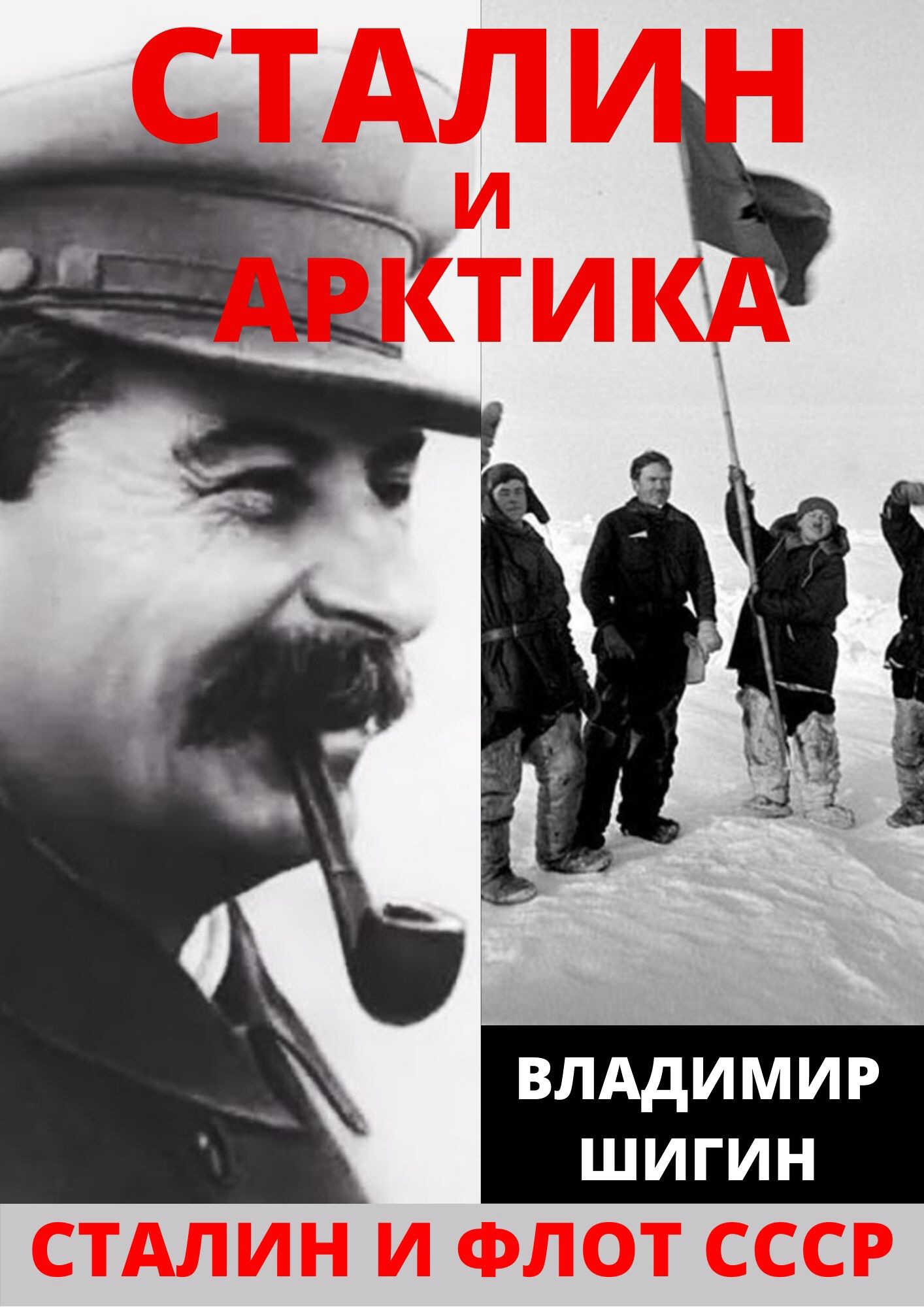 Сталин и Арктика - Владимир Виленович Шигин