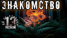 Константинов Алексей – Знакомство