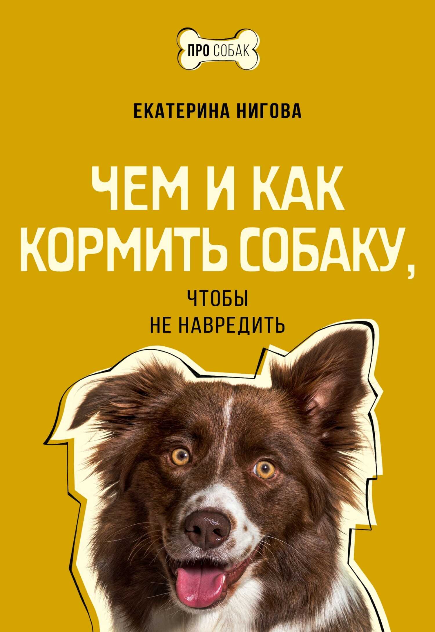 Чем и как кормить собаку, чтобы не навредить - Екатерина Алексеевна Нигова