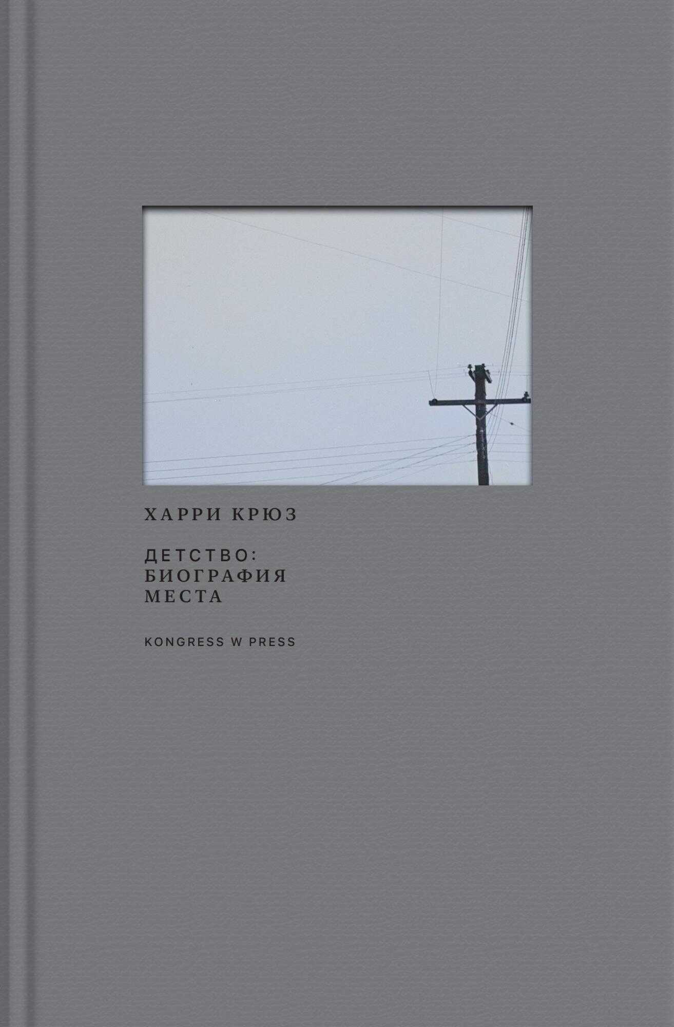 Детство: биография места - Харри Юджин Крюс