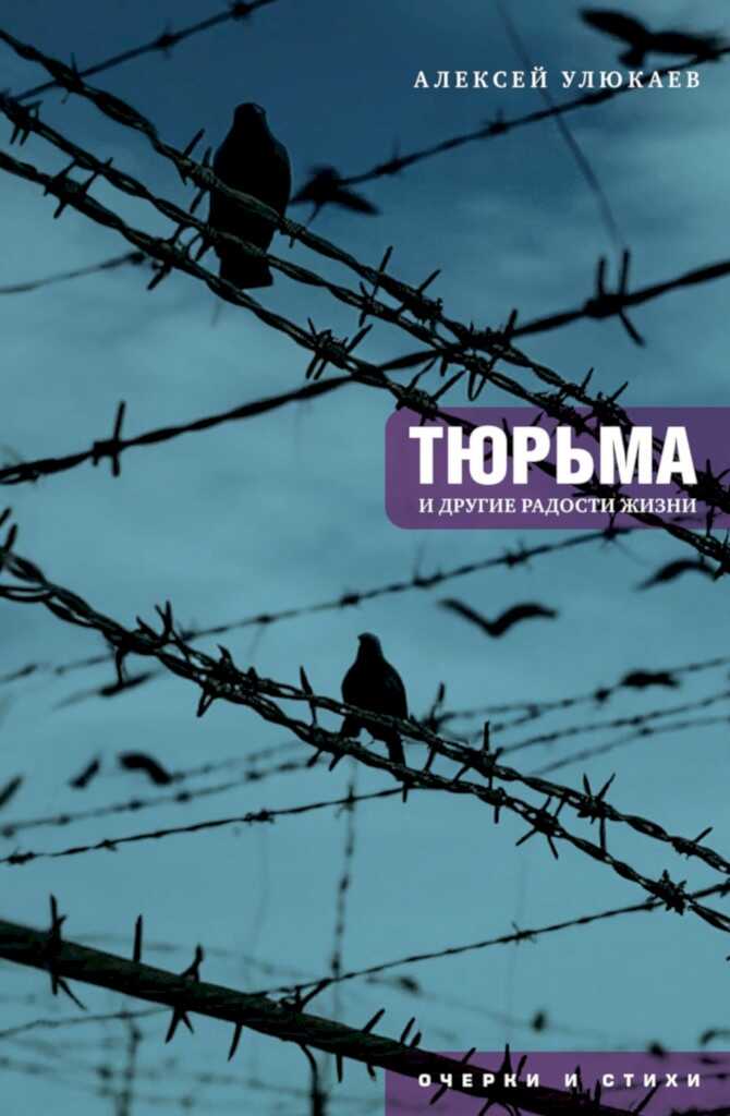 Тюрьма и другие радости жизни. Очерки и стихи - Алексей Валентинович Улюкаев