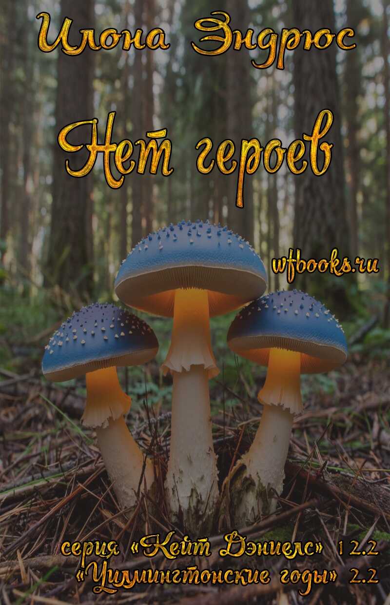 Нет героев - Илона Эндрюс