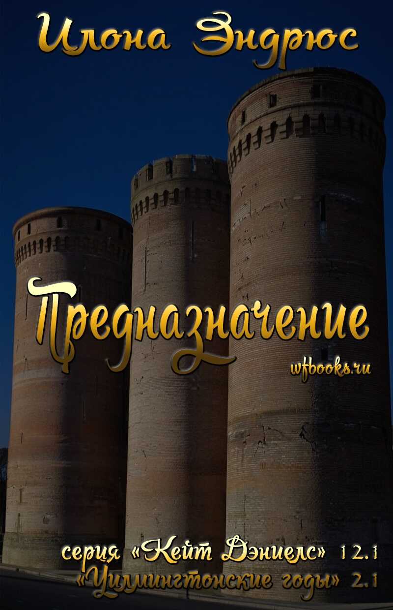 Предназначение - Илона Эндрюс