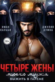 Четыре жены моего мужа. Выжить в гареме - Иман Кальби