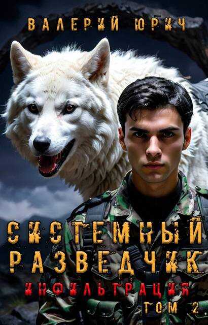 Системный разведчик. Инфильтрация. Том 2 - Валерий Юрич