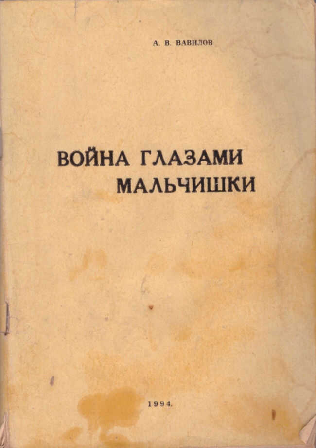 Война глазами мальчишки - А. В. Вавилов