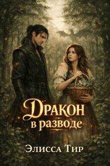 Дракон в разводе - Элисса Тир