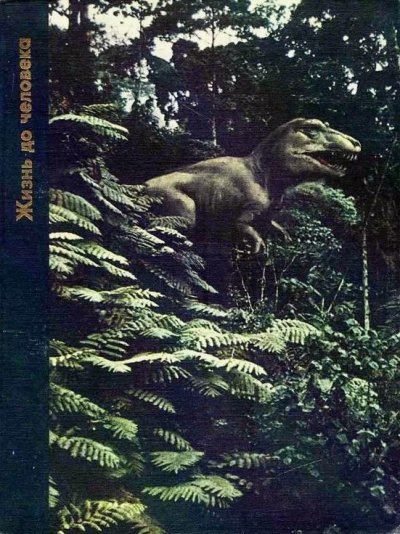 Вуд Питер – Жизнь до человека