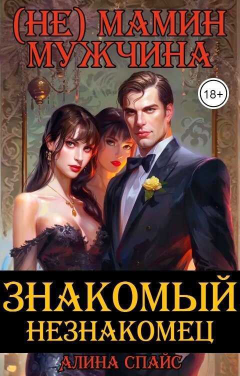 (Не) Мамин мужчина. Знакомый незнакомец - Алина Спайс