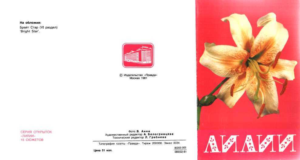 Лилии - Мягкова