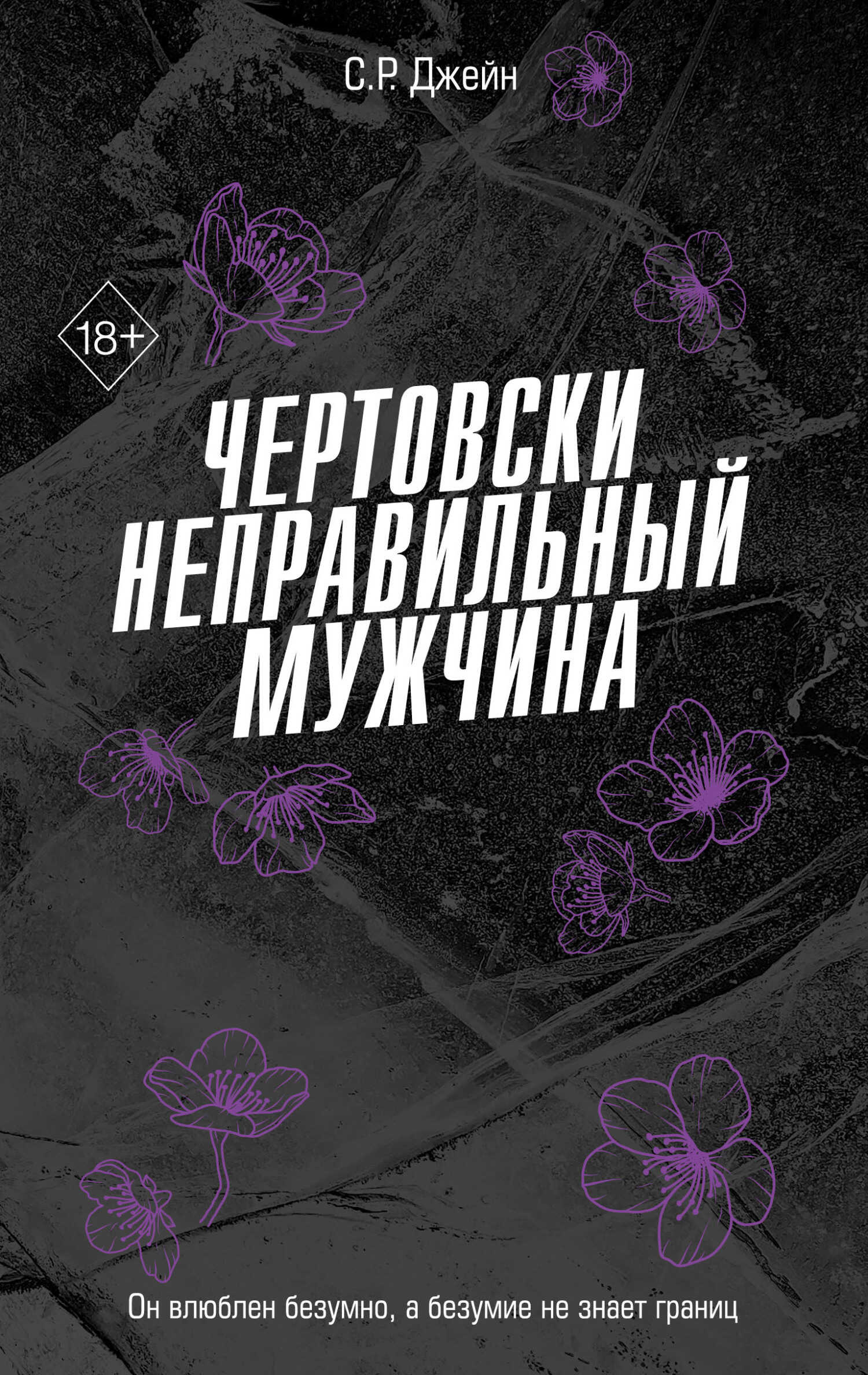 Чертовски неправильный мужчина - С. Р. Джейн