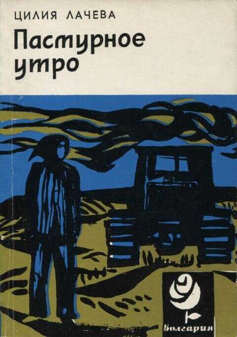 Пасмурное утро - Цилия Лачева