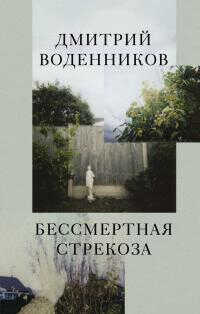 Бессмертная стрекоза - Дмитрий Борисович Воденников