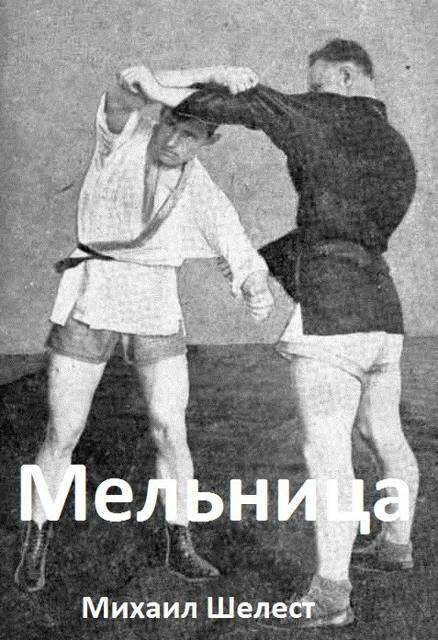 Мельница 3 - Михаил Васильевич Шелест