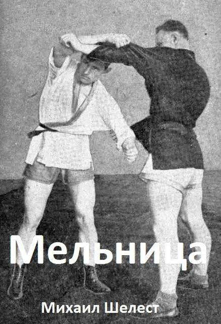 Мельница 4 - Михаил Васильевич Шелест
