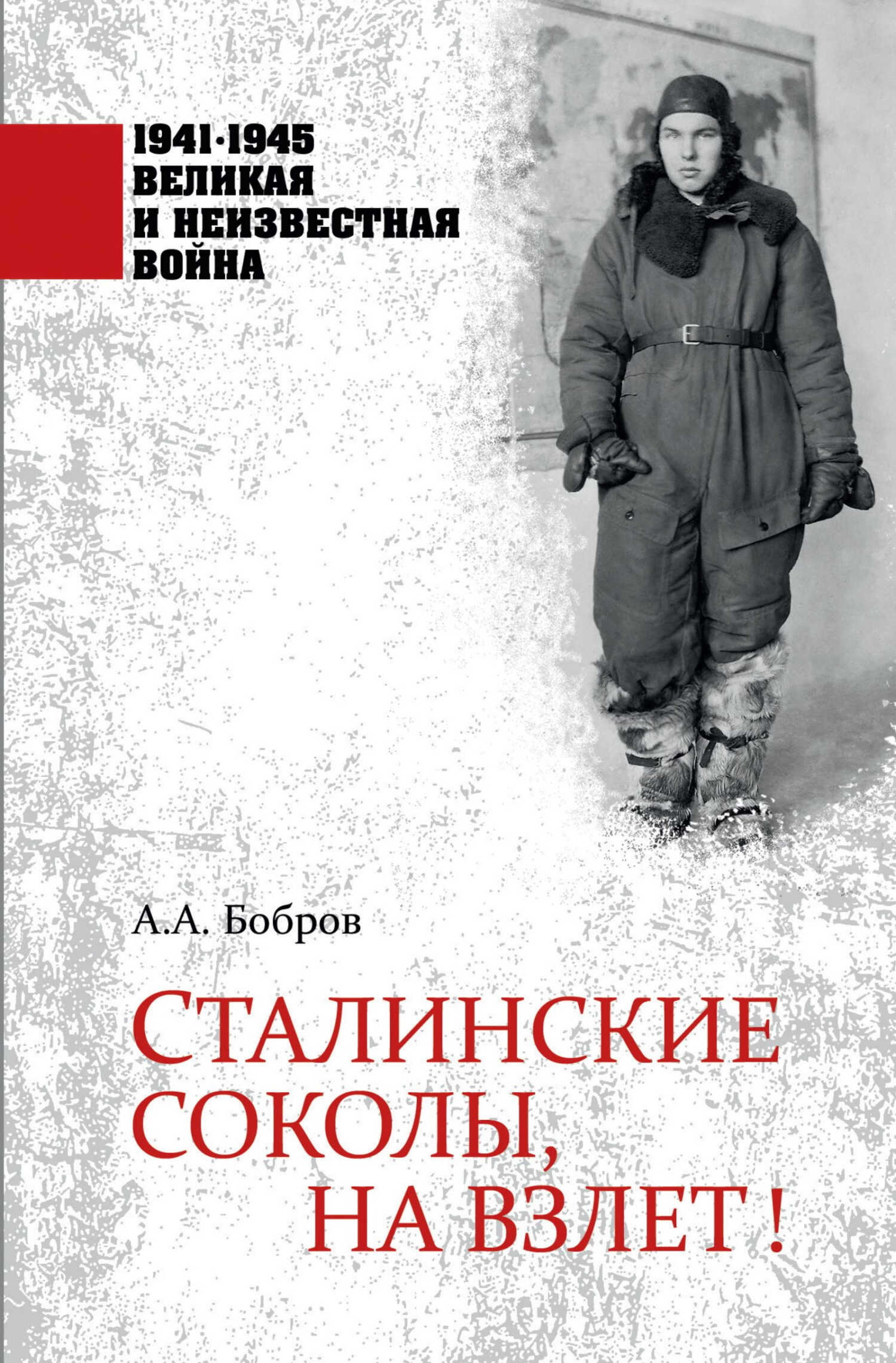 Сталинские соколы, на взлет! - Александр Александрович Бобров